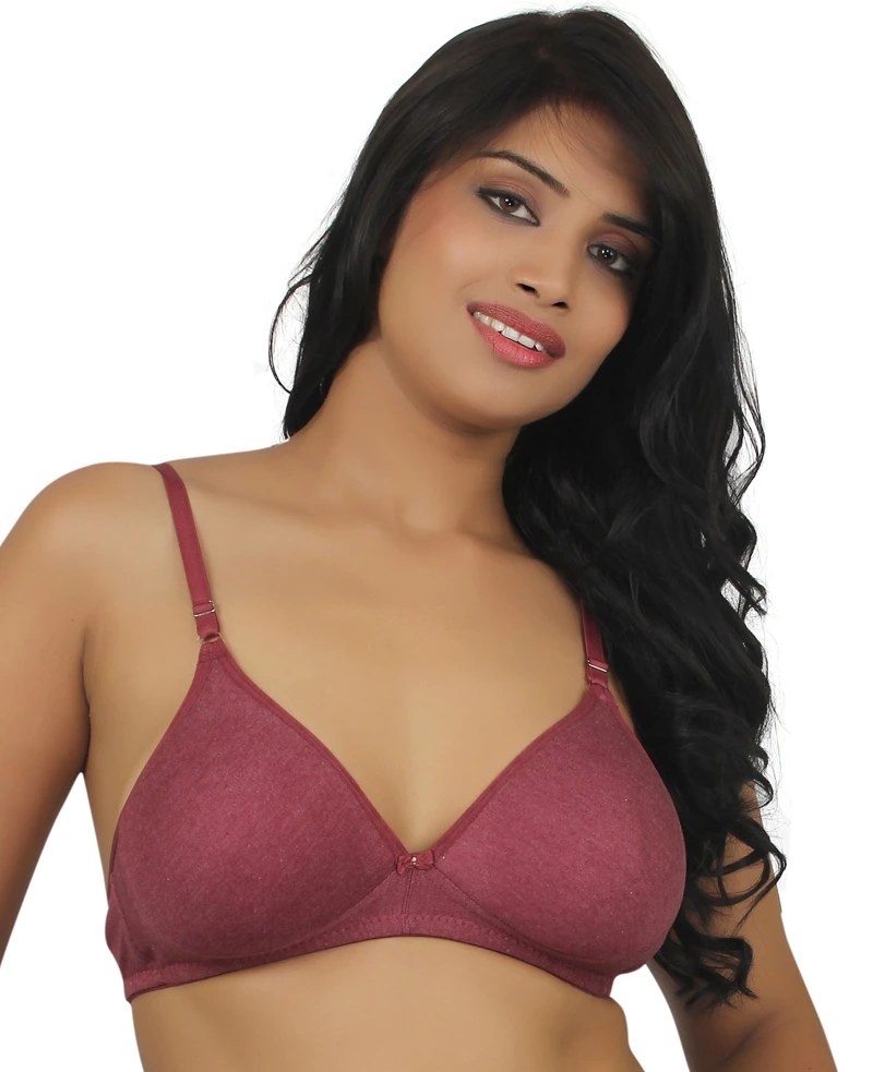 Lucy Secret Maroon Bra