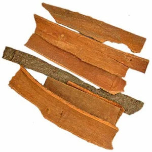 Cinnamon (Daruchini) Whole 100 gm
