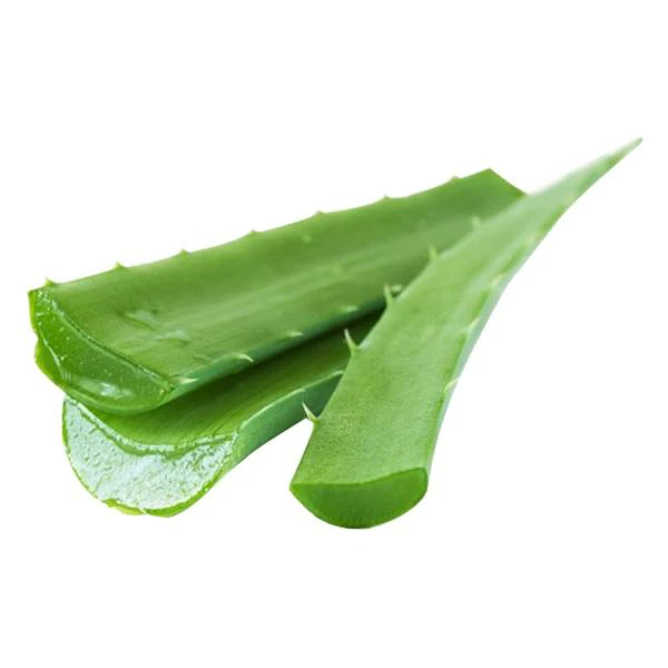 GR-FV-ALOVR-E001