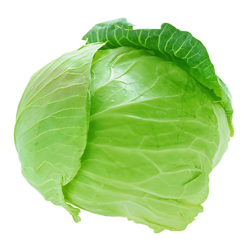 Green Cabbage 1 Piece
