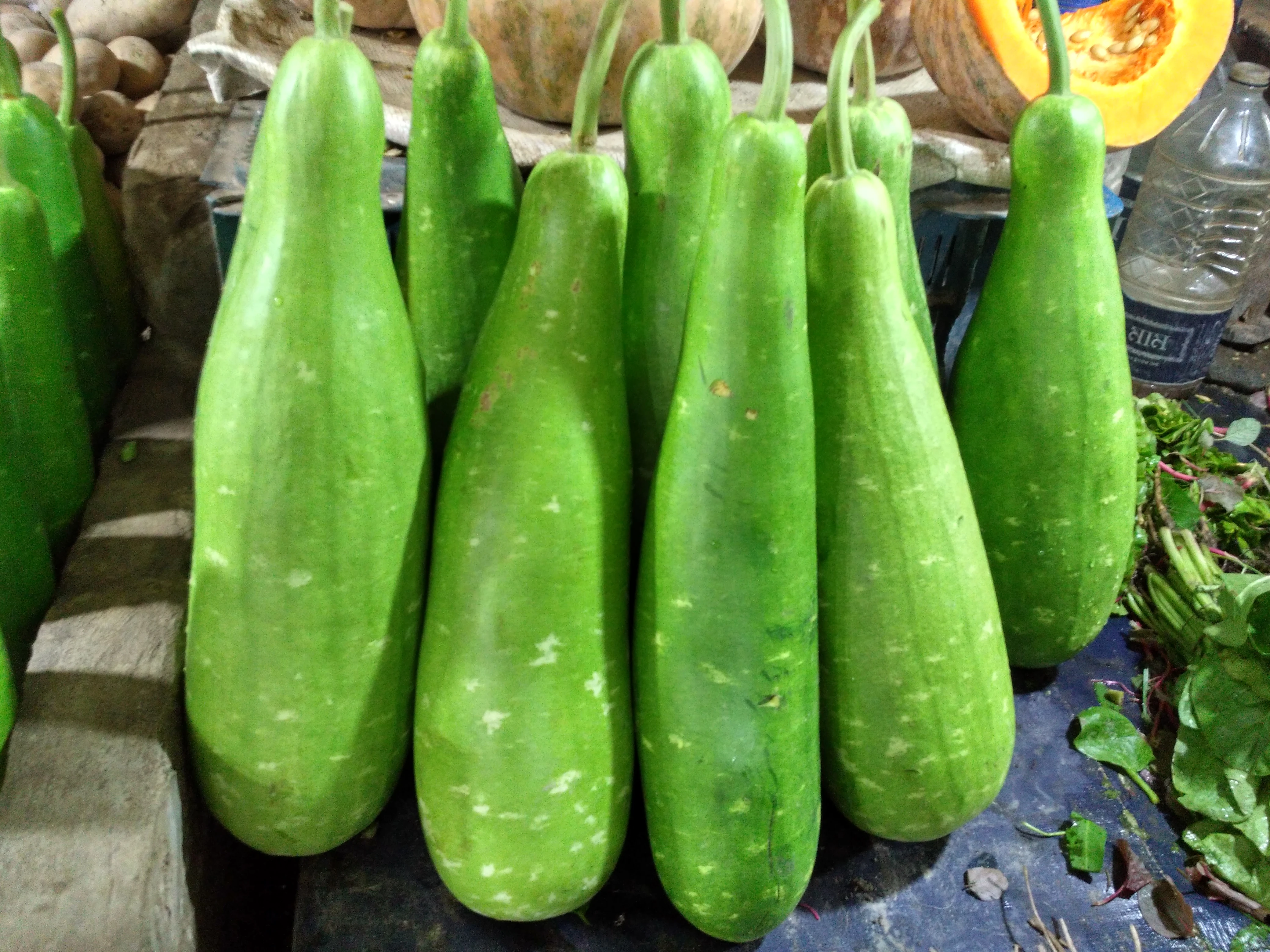 Long Bottle gourd - Lau 1 PCS
