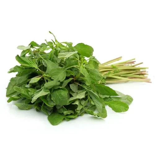 Notey Saakh 1 Bundle