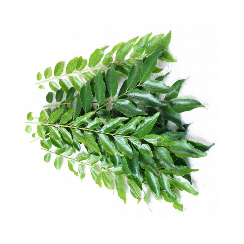 Curry Leaves 1 Bundle