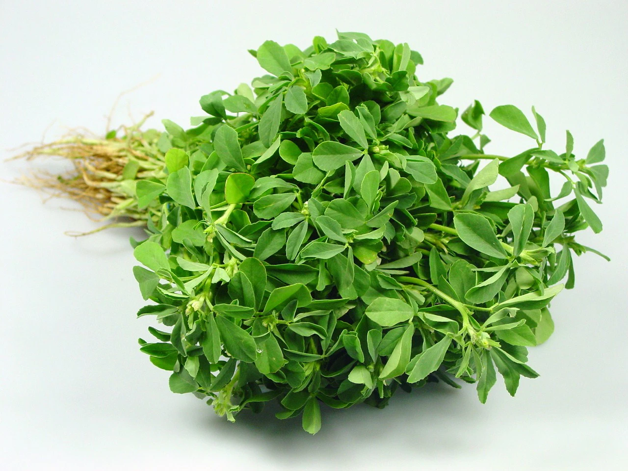 Fenugreek - Methi Saakh 250 gm