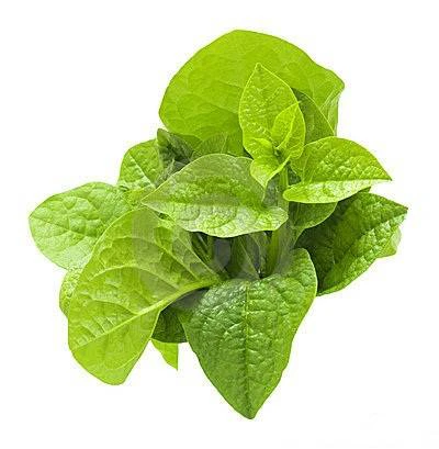 Green Spinach (Pui Shak) 500g