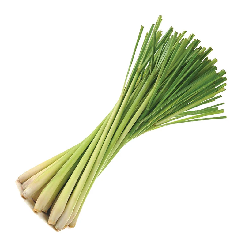 Lemon Grass 100 gm