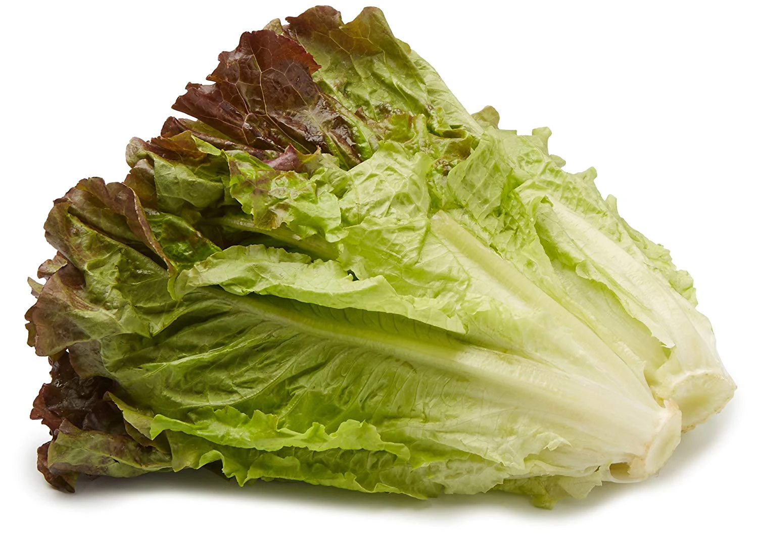 Red Lettuce Leaf 250 gm