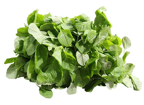 Stem Amaranth Leaves - Data Shak 1kg