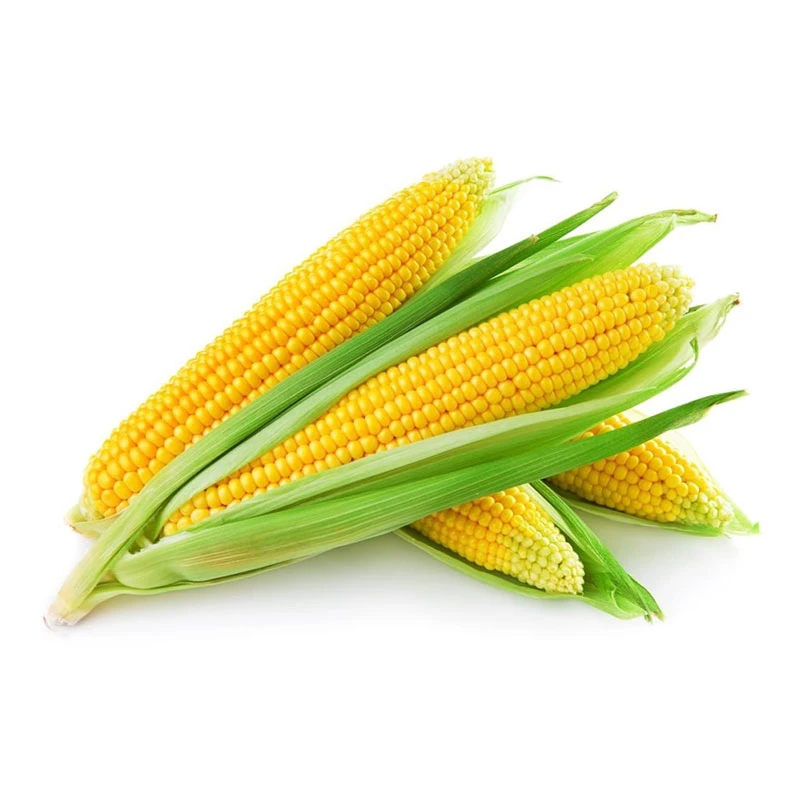 Baby Corn 1 PCS
