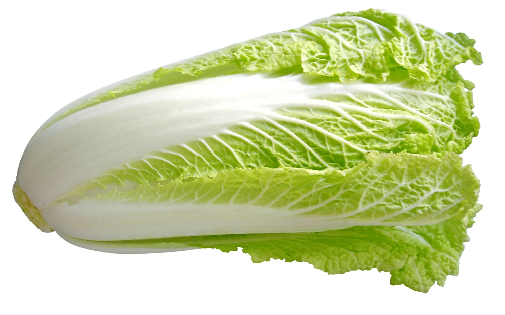 Chinese Cabbage 1 piece