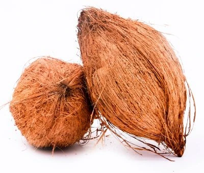 Coconut 1 piece