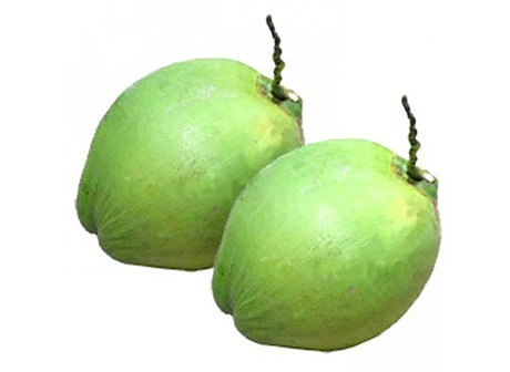 Green Coconut 1 piece