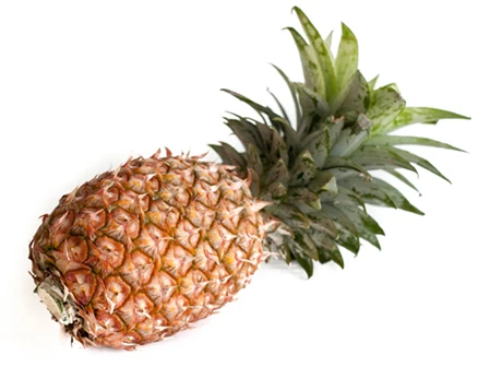Pineapple - Anaros 1 Piece