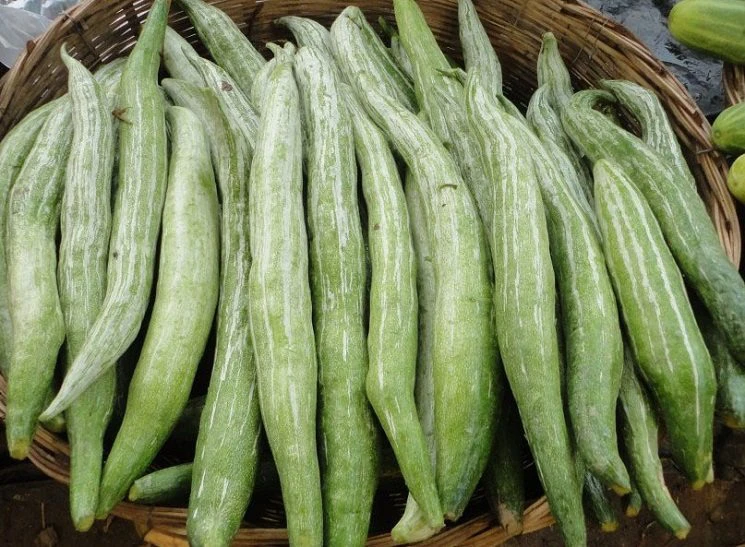 Snake Gourd - Chichinga 500 gm
