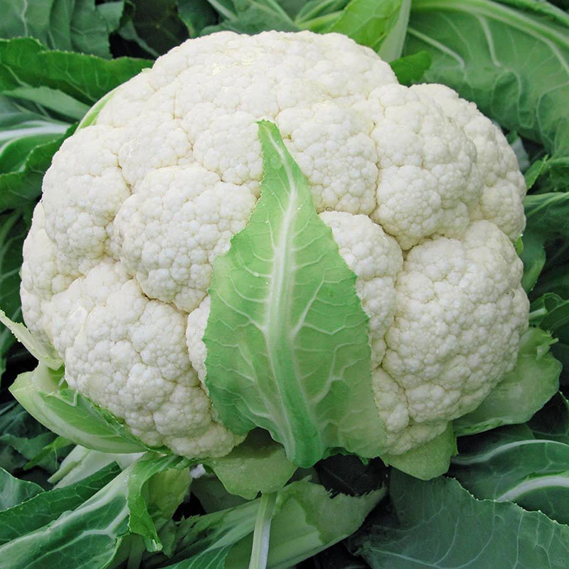 Fulkopi (Cauliflower) each