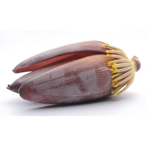 Banana Flower Mocha 1 Piece