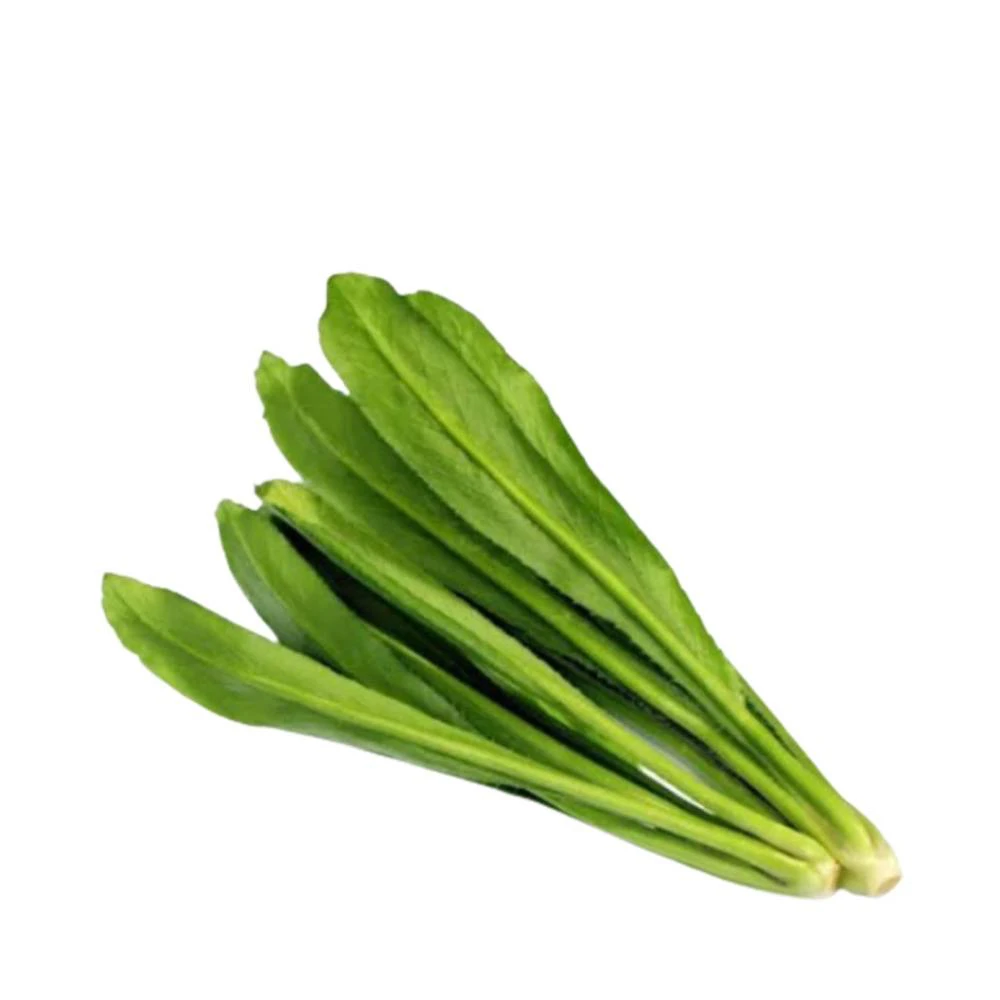 Long Coriander Leaves (Bilati Dhonia Pata) 100 gm